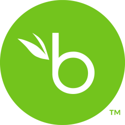 BambooHR logo